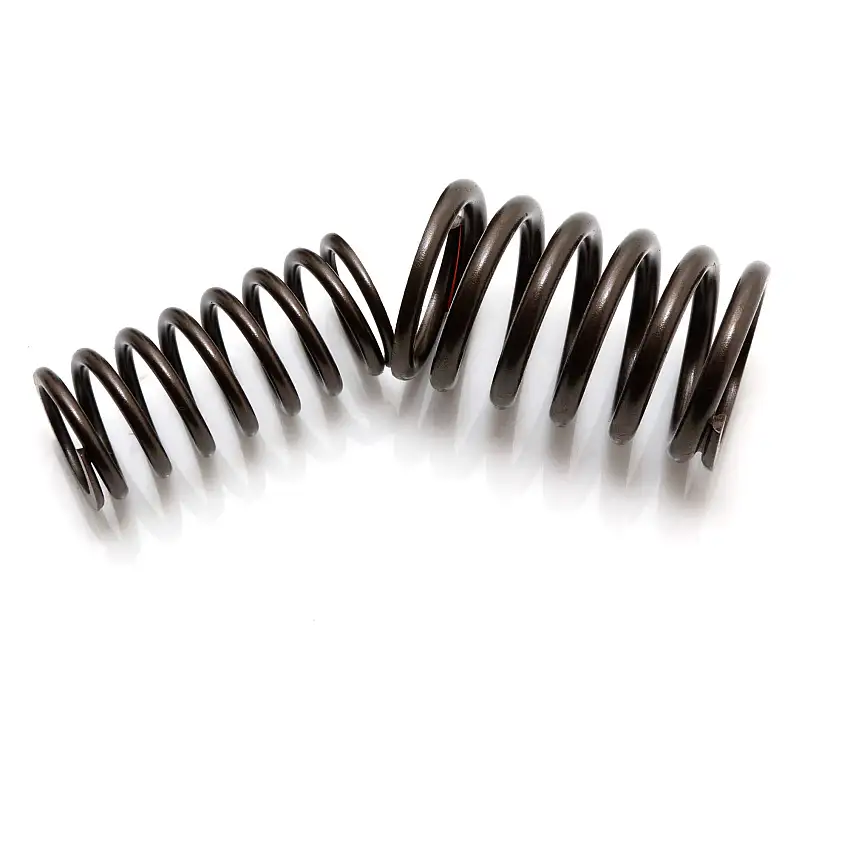 Double Valve Spring Set
