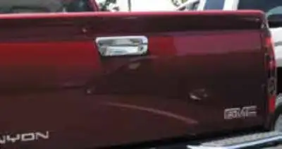 TFP 413 Tailgate Handle Insert 2 Piece Kit Stainless Steel Chromed Finish