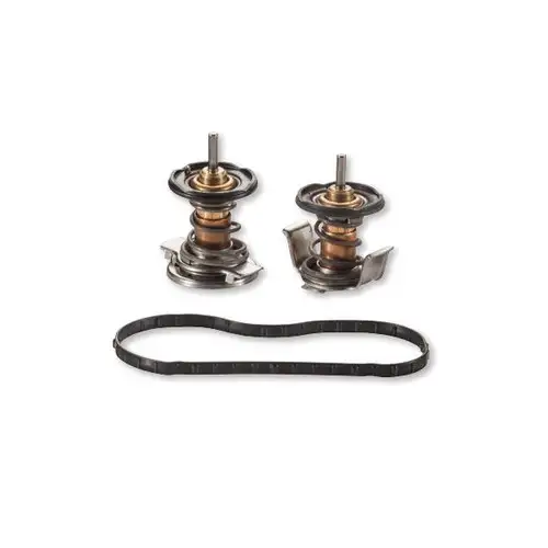 Alliant Thermostat Kit for 08-10 Ford 6.4L Powerstroke