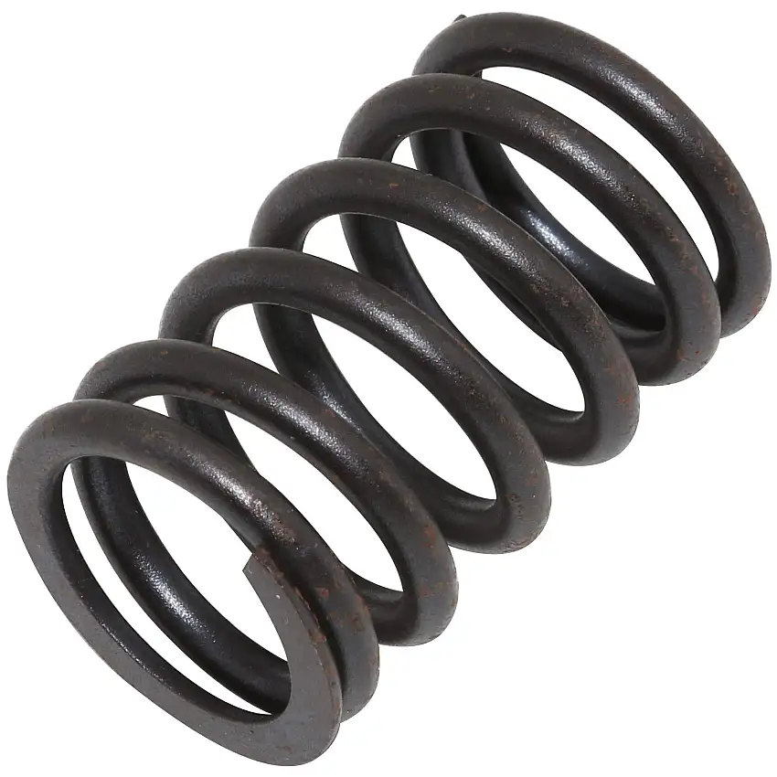 Valve Spring